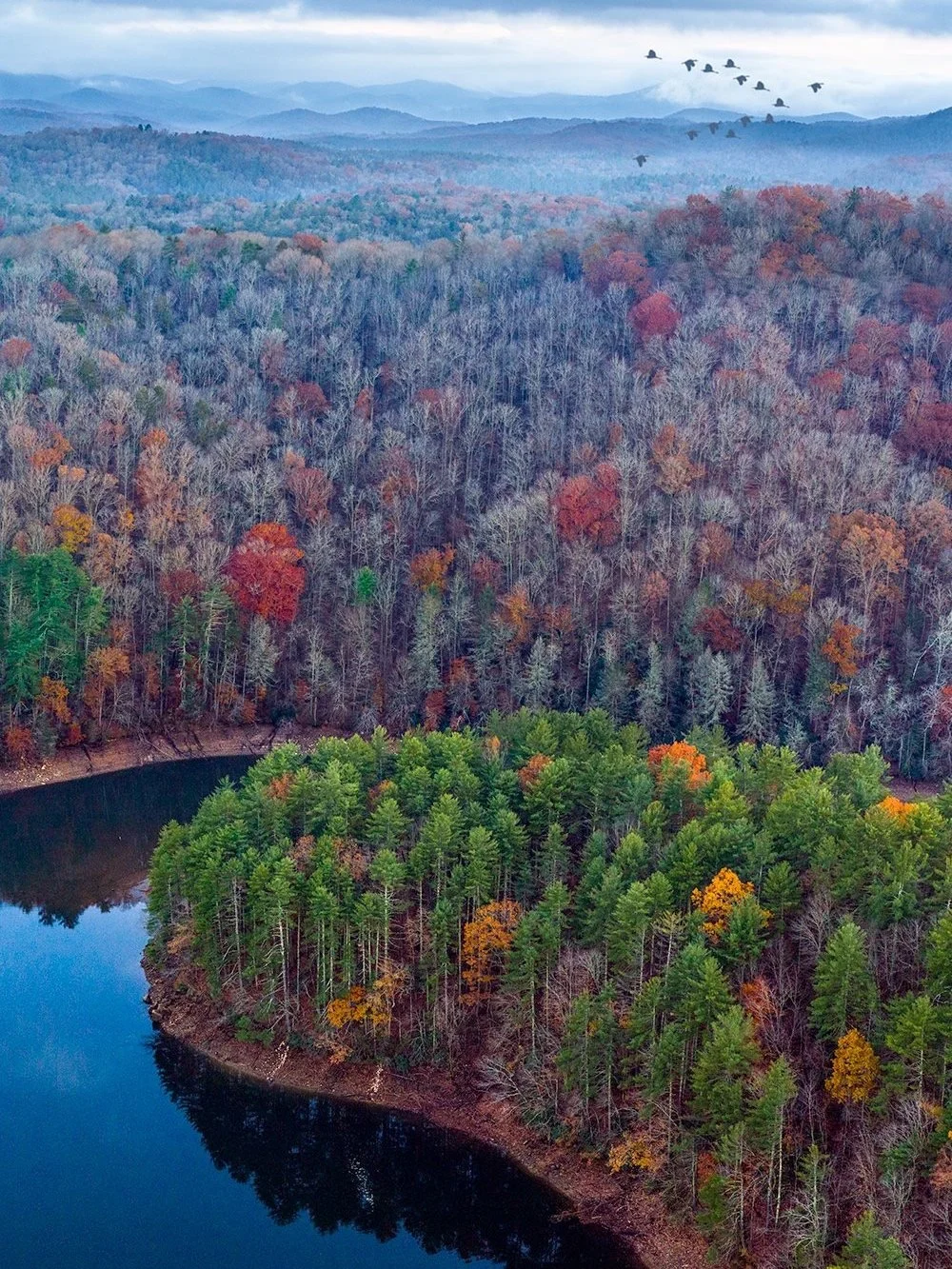 Above Lake Blue Ridge (2019)